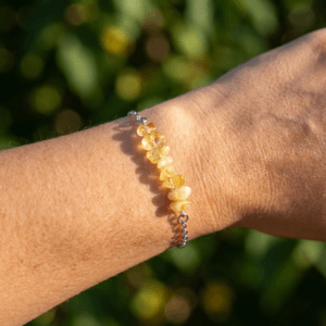 d2ecdd45-8aae-458d-8ef6-a3e1c8fc7023